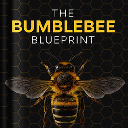 New Book from Carmen Ortiz-McGhee: “The Bumblebee Blueprint”
