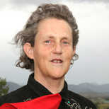 Temple Grandin Thumbnail